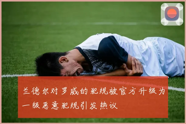 兰德尔对罗威的犯规被官方升级为一级恶意犯规引发热议